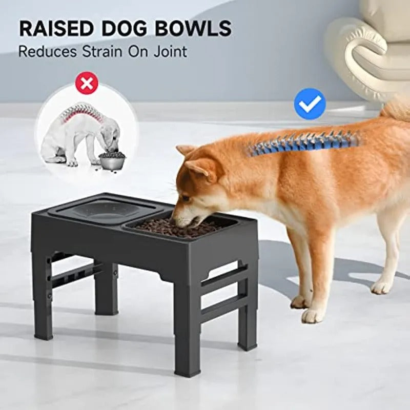 Elevated Feeding Tray with Slow Feeder
